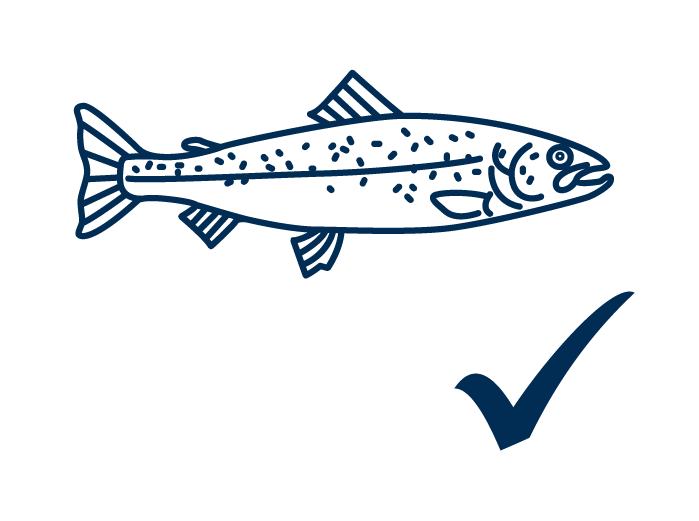 Salmon available