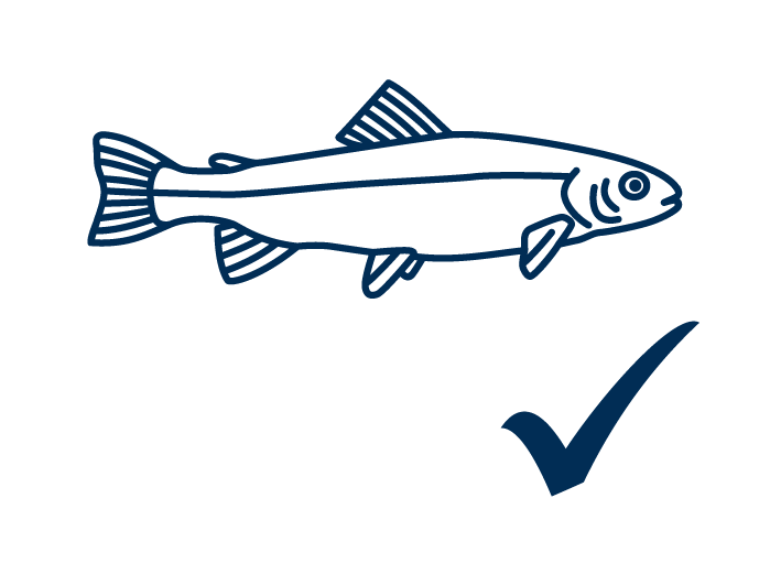 Seatrout available