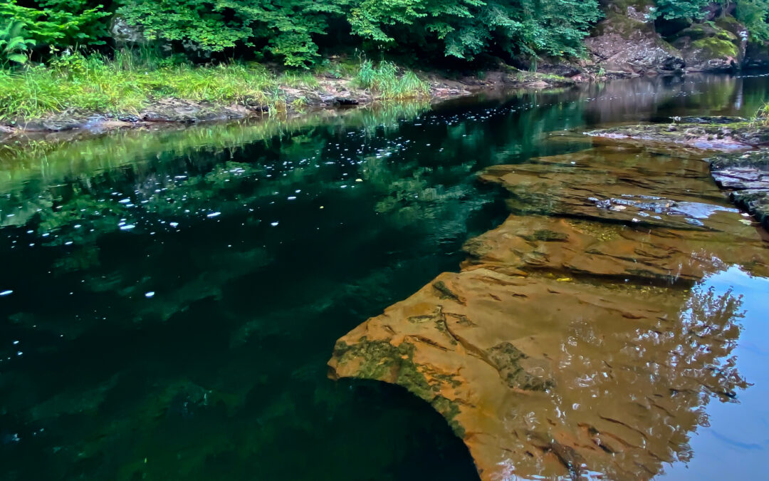 Sea Trout Fishing on the South Esk, Scotland