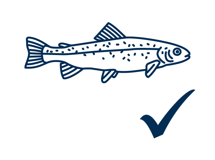 Fly fishing available