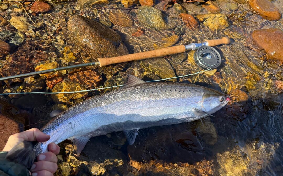 Fishing Report 23rd – 28th March 2026