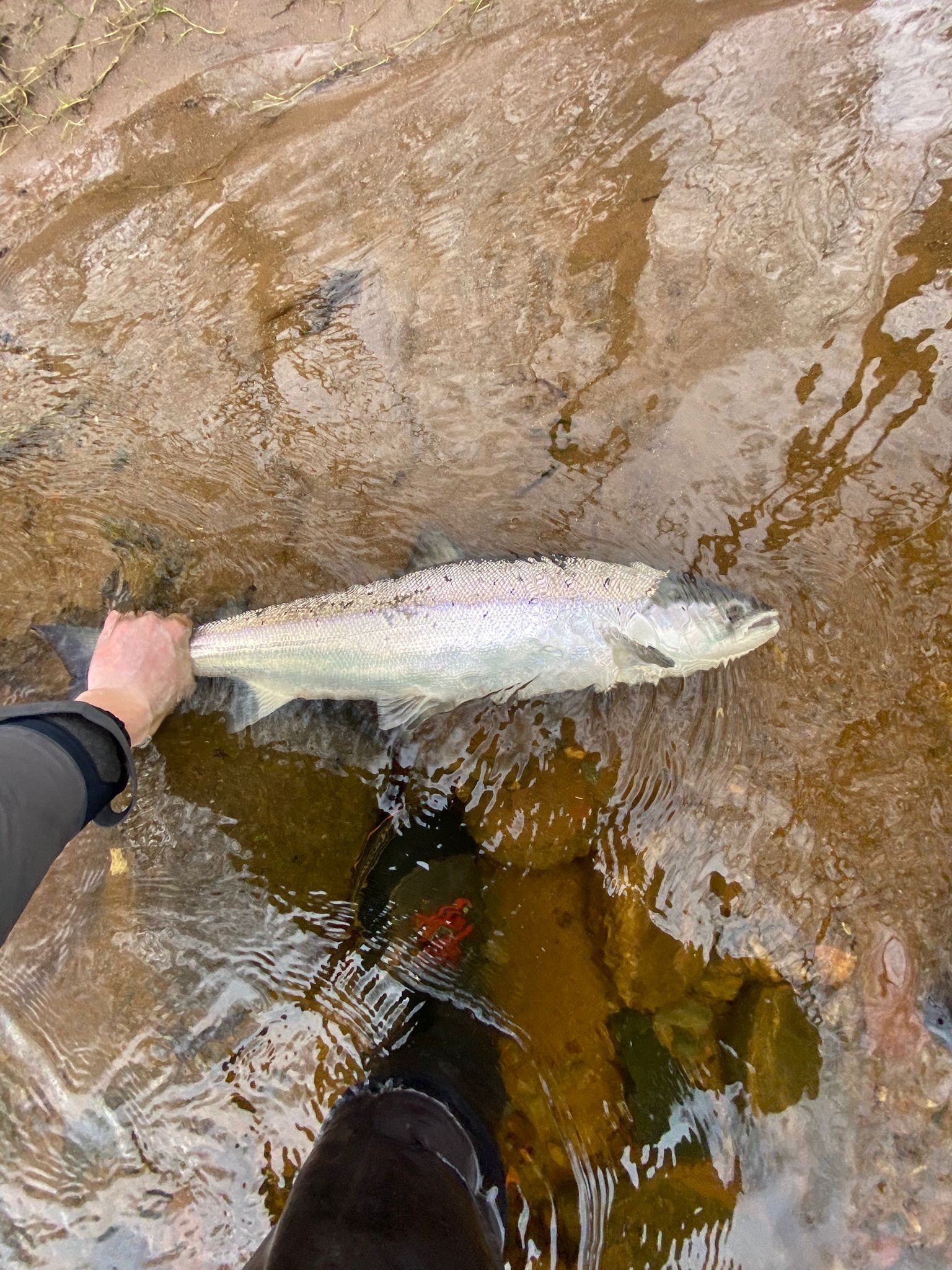 Ollie Braithwaite with salmon 2 from Canterland