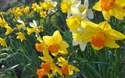 Fishing Report 16th – 21st March 2026