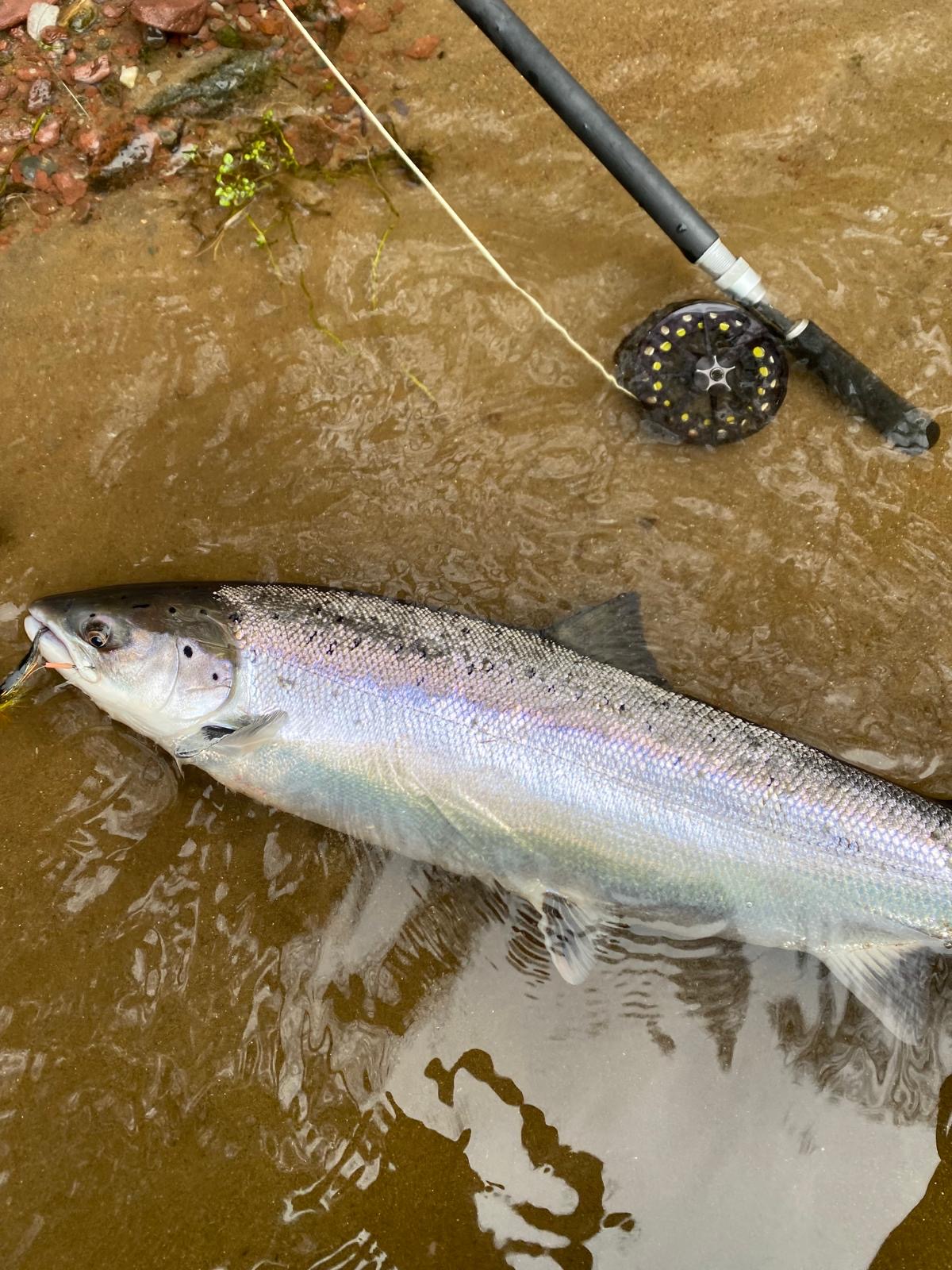 Ollie Braithwaite with salmon 2 from Canterland