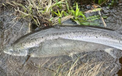 Fishing Report 9th – 14th March 2026