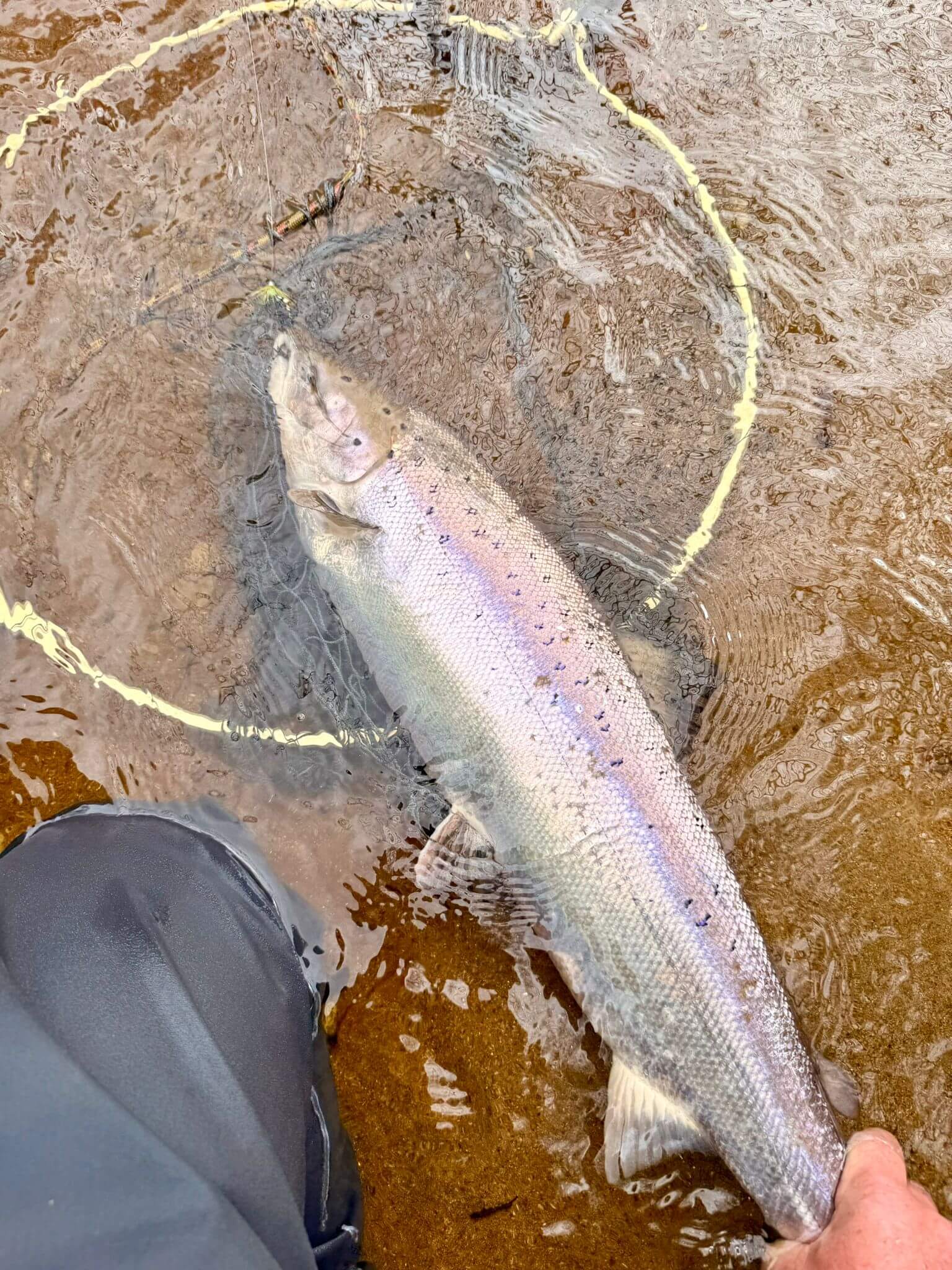 Ollie Braithwaite with salmon 2 from Canterland