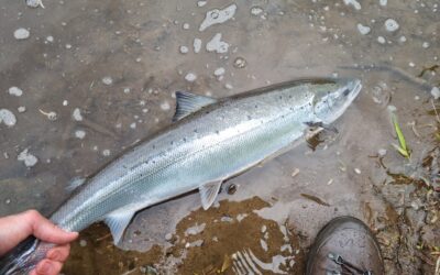 Fishing Report 4th – 9th May 2026