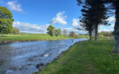 Fishing Report 27th April – 2 May 2026