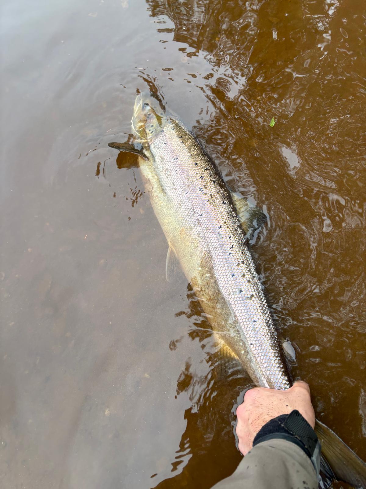 Ollie Braithwaite with salmon 2 from Canterland