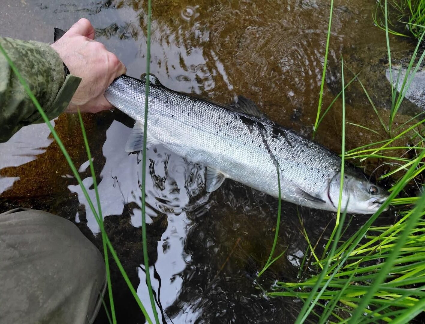 Ollie Braithwaite with salmon 2 from Canterland