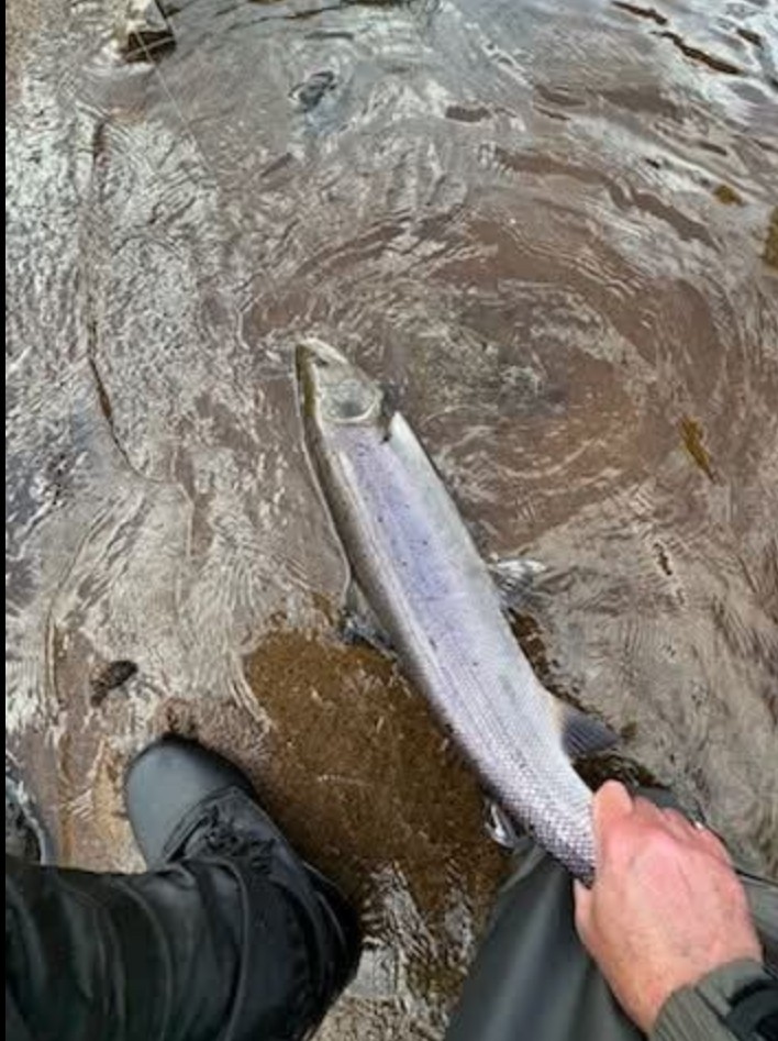Ollie Braithwaite with salmon 2 from Canterland