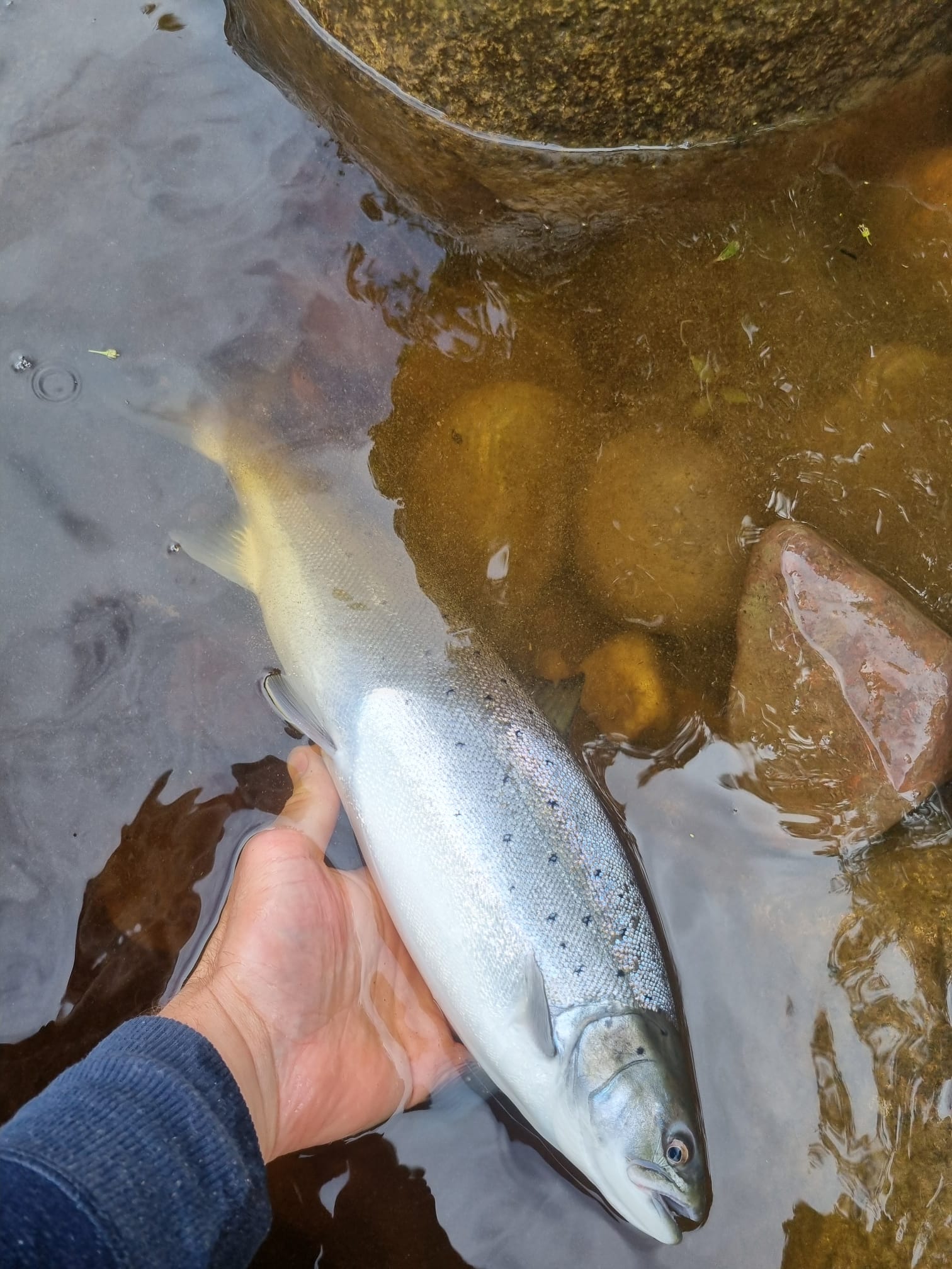 Ollie Braithwaite with salmon 2 from Canterland