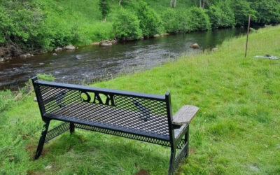 Fishing Report 15th – 27th June 2026