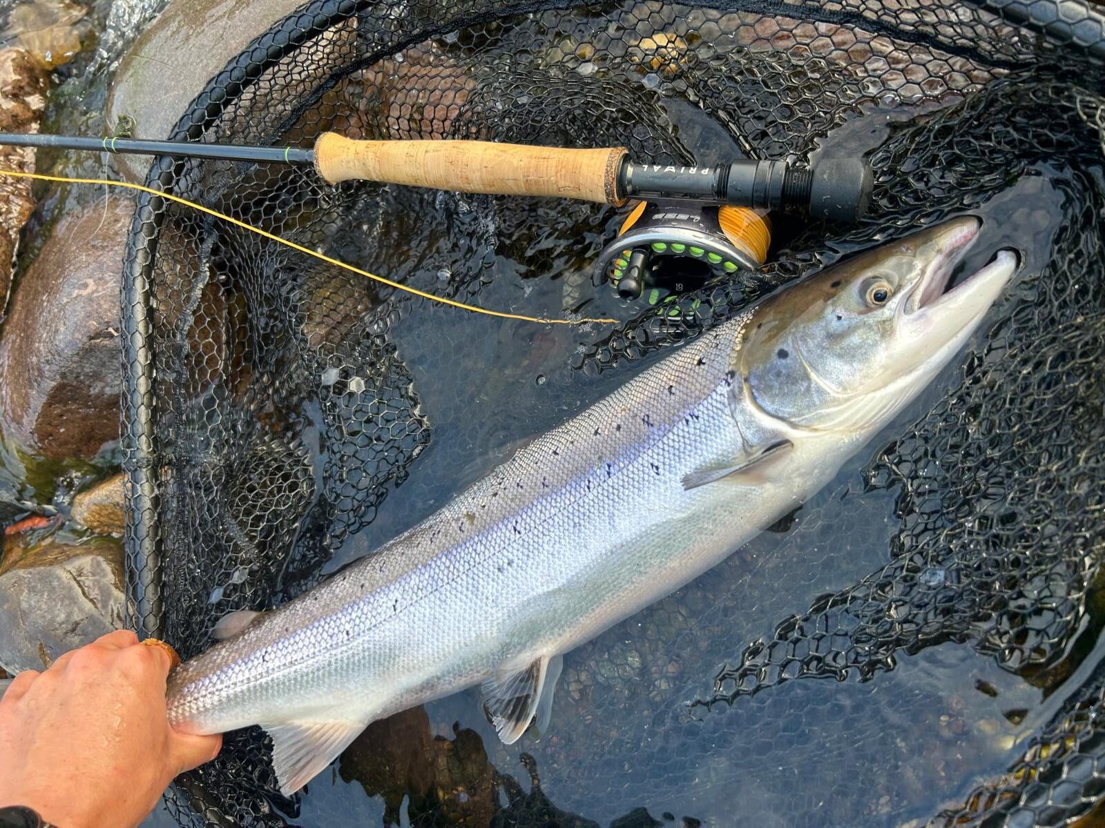 Ollie Braithwaite with salmon 2 from Canterland