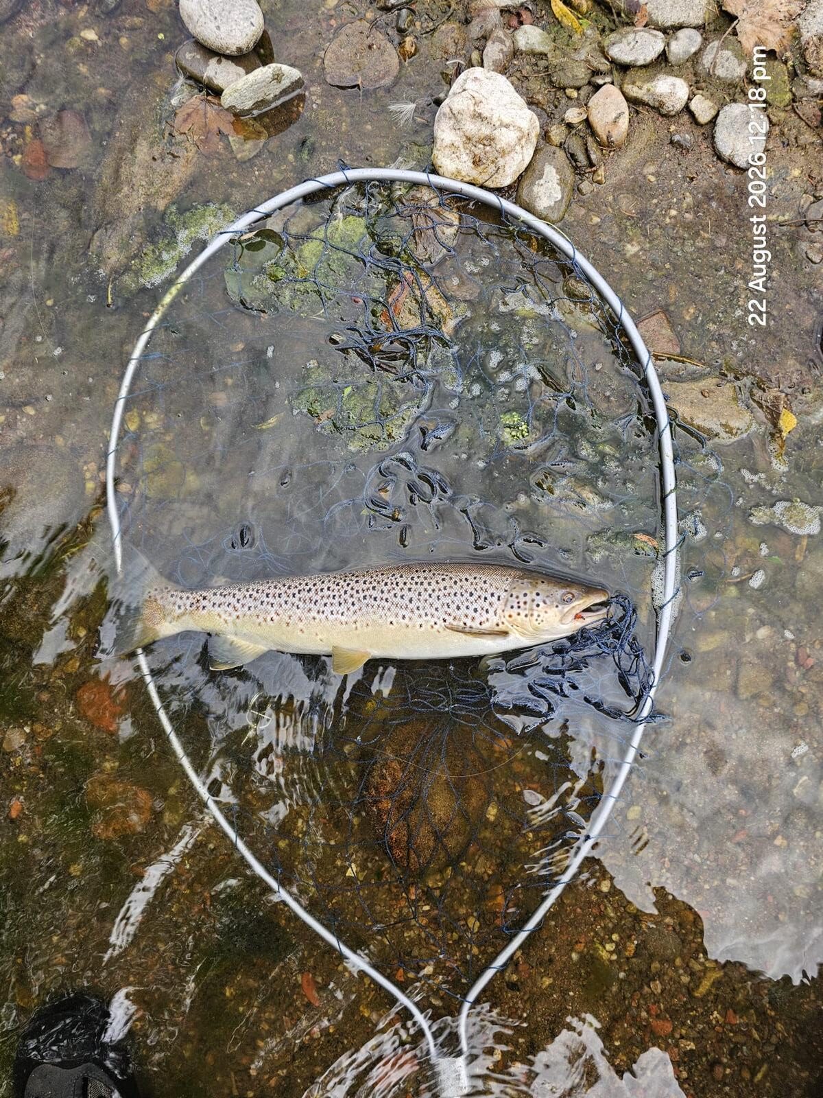 Ollie Braithwaite with salmon 2 from Canterland
