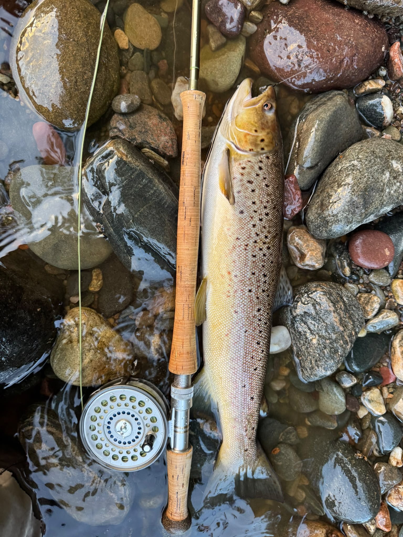 Ollie Braithwaite with salmon 2 from Canterland