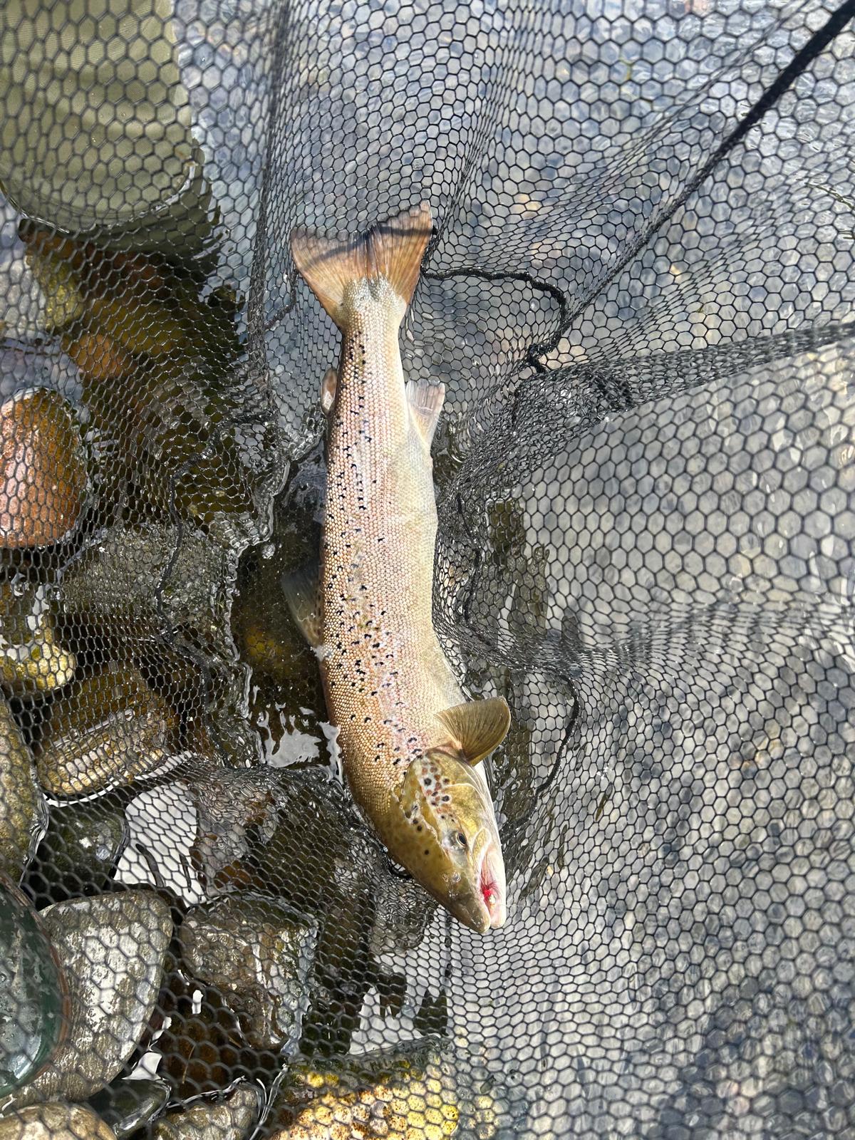 Ollie Braithwaite with salmon 2 from Canterland