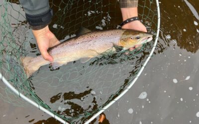 Fishing Report 7 – 19 September 2026