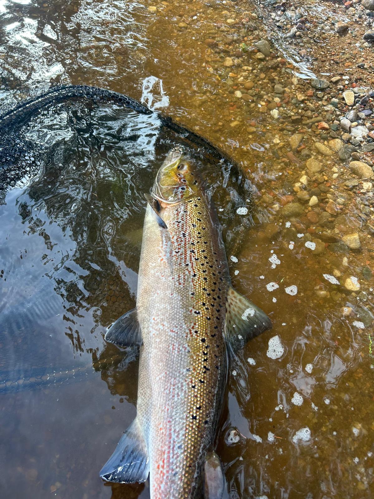 Ollie Braithwaite with salmon 2 from Canterland
