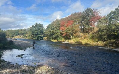 Fishing Report 21 September – 3 October 2026